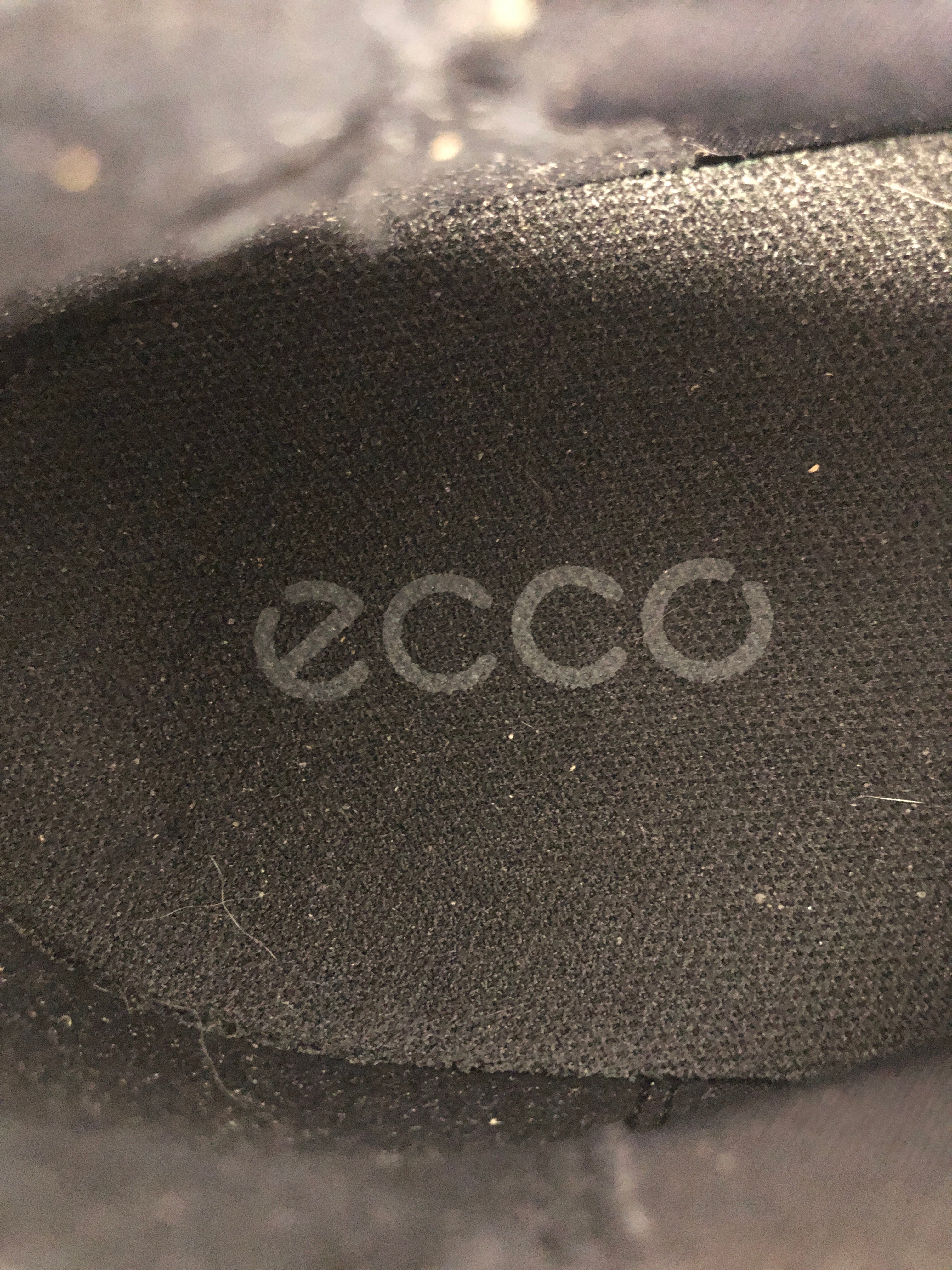 Ecco Sko